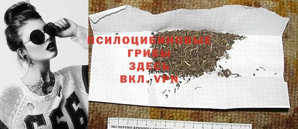 бошки Вяземский