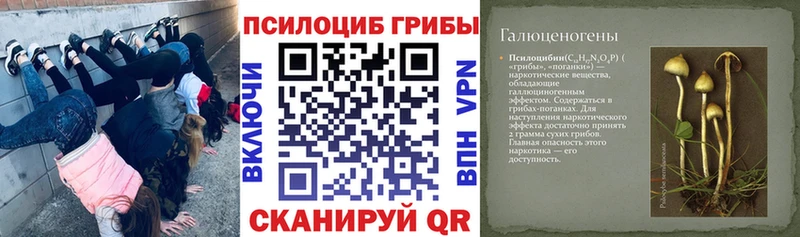 площадка Telegram  Покровск  Галлюциногенные грибы GOLDEN TEACHER 